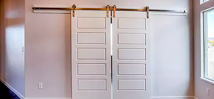 Glass Barn Door with Installation Hardware Kit West Haven